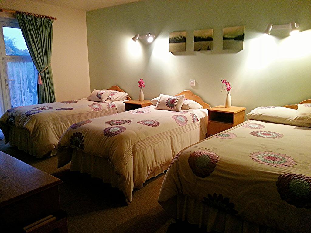 Crockatinney Guest House Баллинтой Номер фото